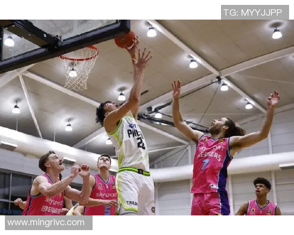 NBL点燃杯决赛伤病报告:科顿赛前决定,破坏者全员健康